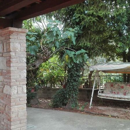 Agriturismo Cerquaglia 托迪 外观 照片