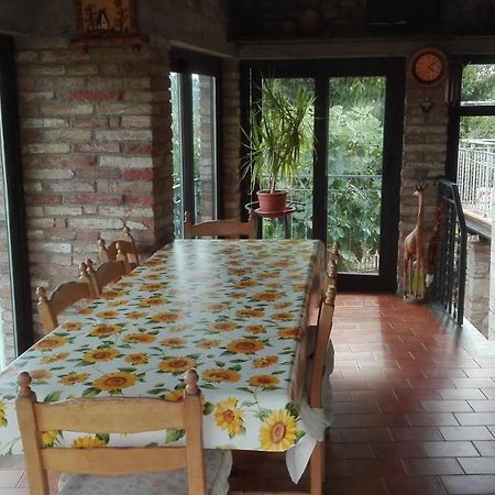Agriturismo Cerquaglia 托迪 外观 照片