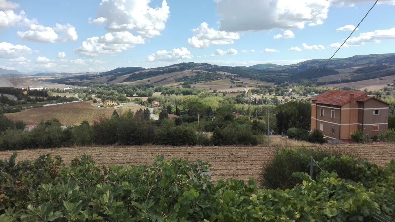 Agriturismo Cerquaglia 托迪 外观 照片
