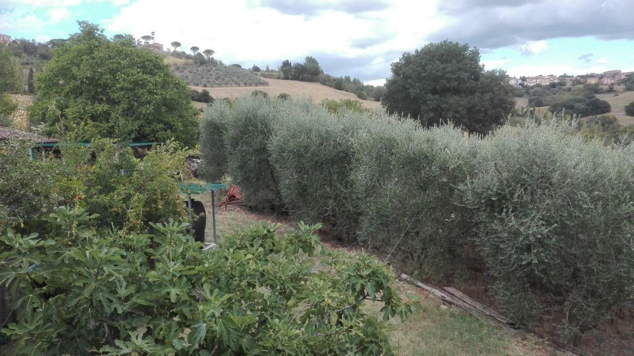 Agriturismo Cerquaglia 托迪 外观 照片