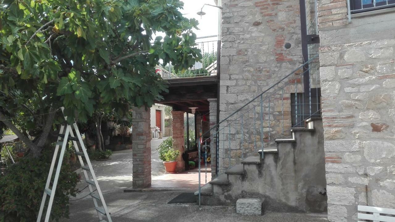 Agriturismo Cerquaglia 托迪 外观 照片